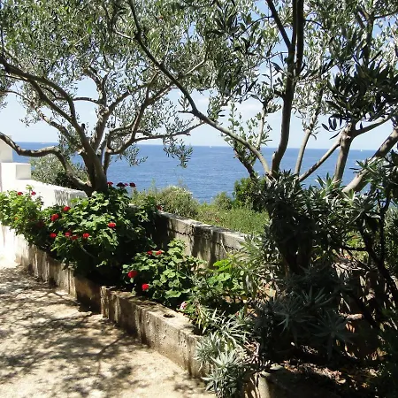 Mario Apartman Sevid